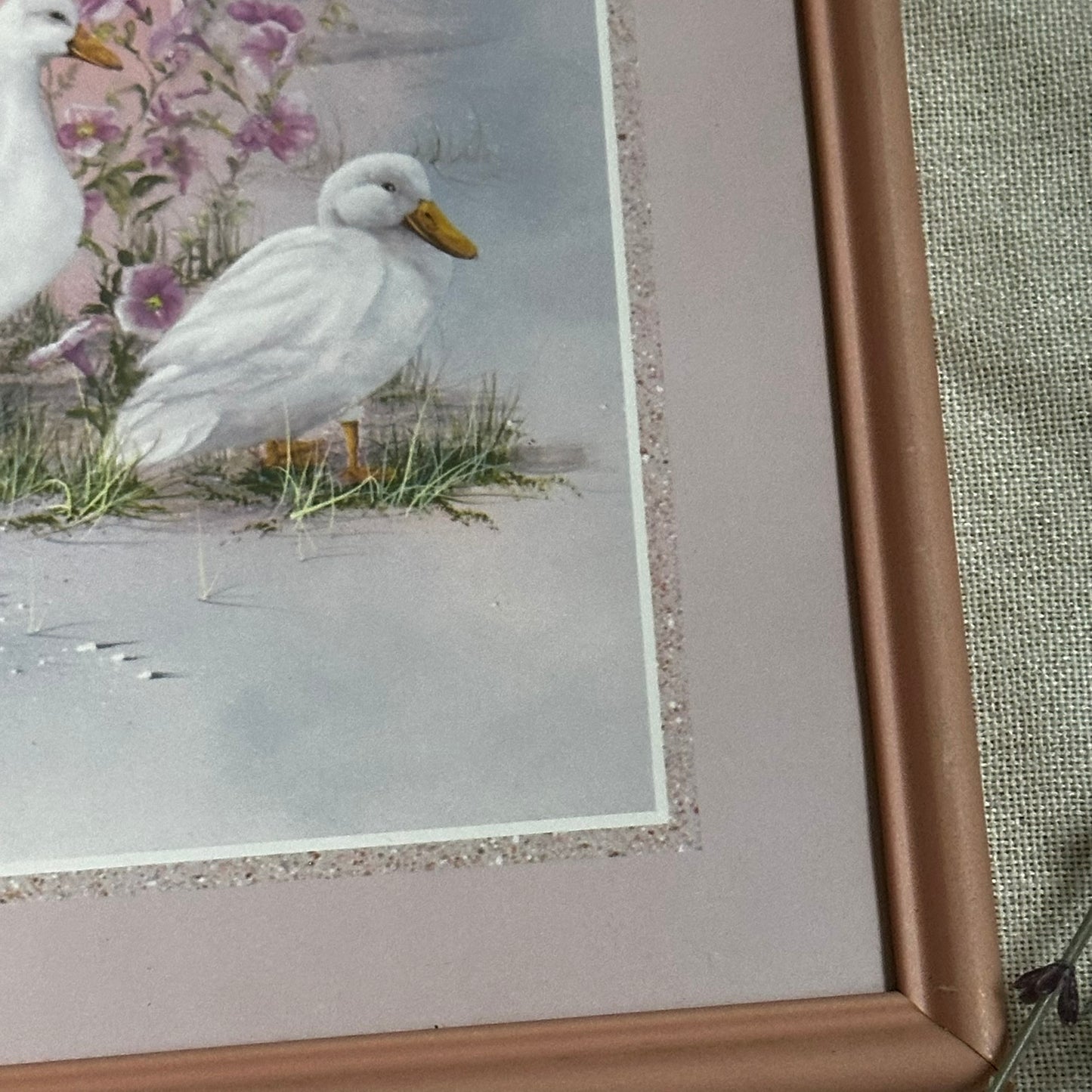 Vintage Duck Family Framed Print | Pastel Waterfowl Wall Art in Pink Frame