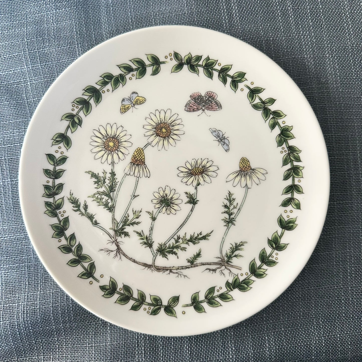 Set of 4 Takahashi San Francisco Botanical Plates | Wildflower Insect Series