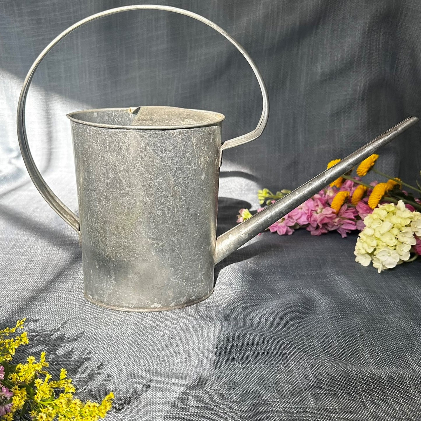 Vintage Galvanized Metal Watering Can with Arched Handle