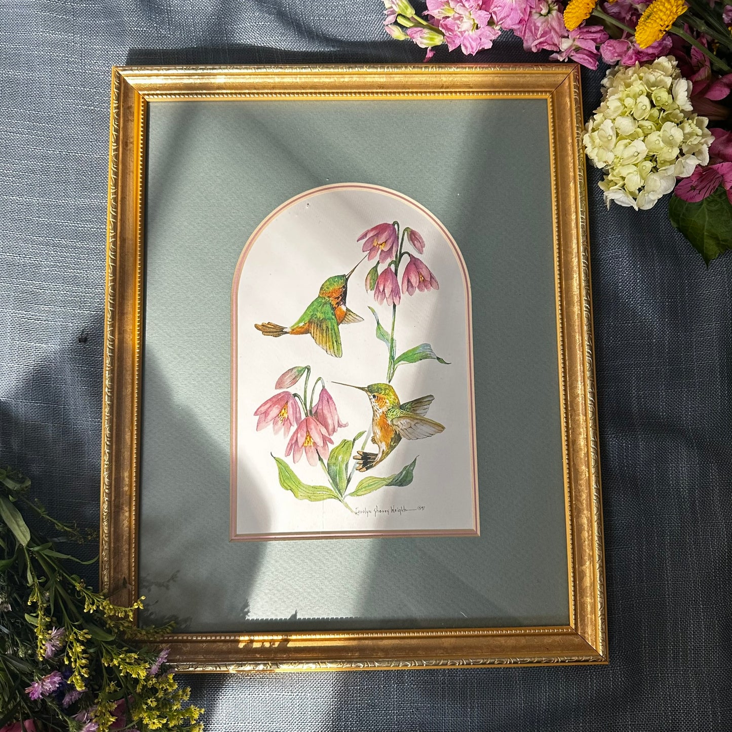 Framed 1997 Carolyn Shores Wright Hummingbird & Bellflower Print