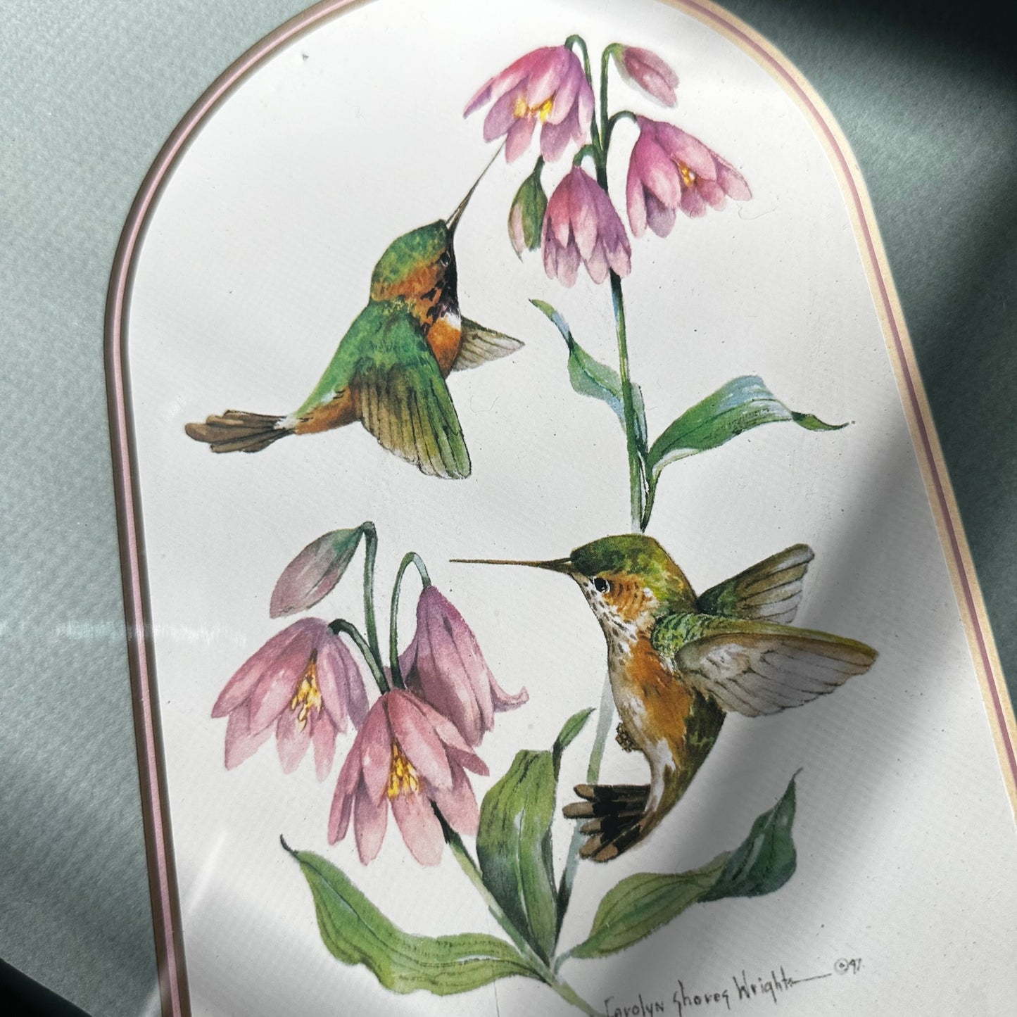 Framed 1997 Carolyn Shores Wright Hummingbird & Bellflower Print
