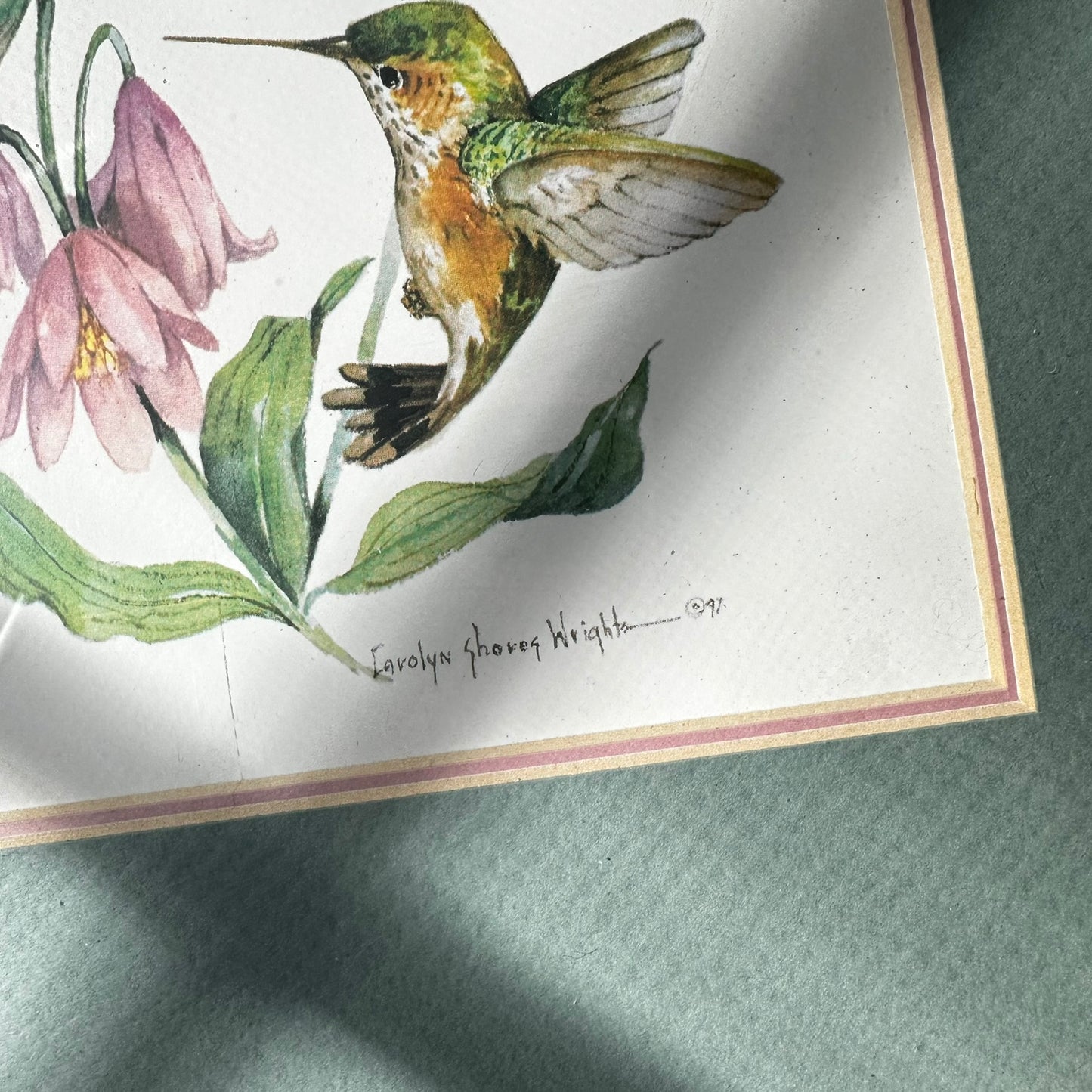 Framed 1997 Carolyn Shores Wright Hummingbird & Bellflower Print
