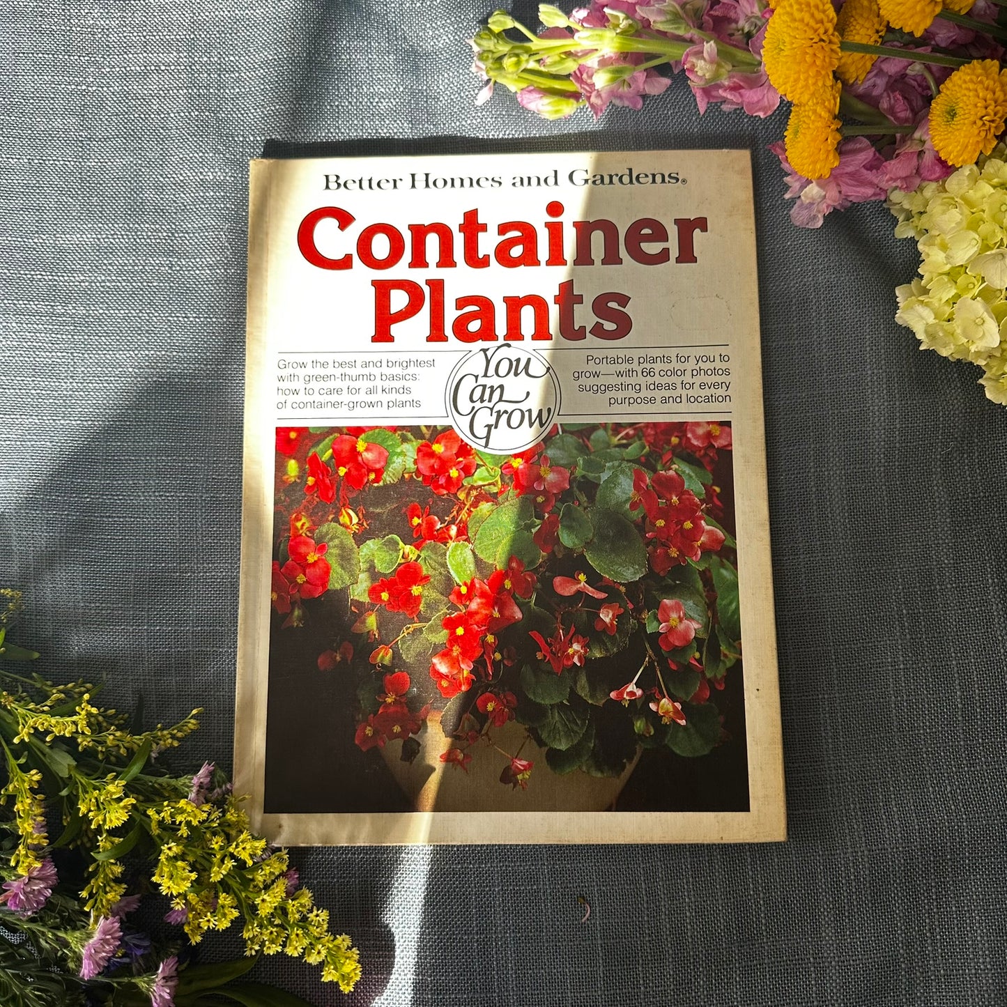 Better Homes and Gardens: Container Plants (1978 First Edition Hardcover)