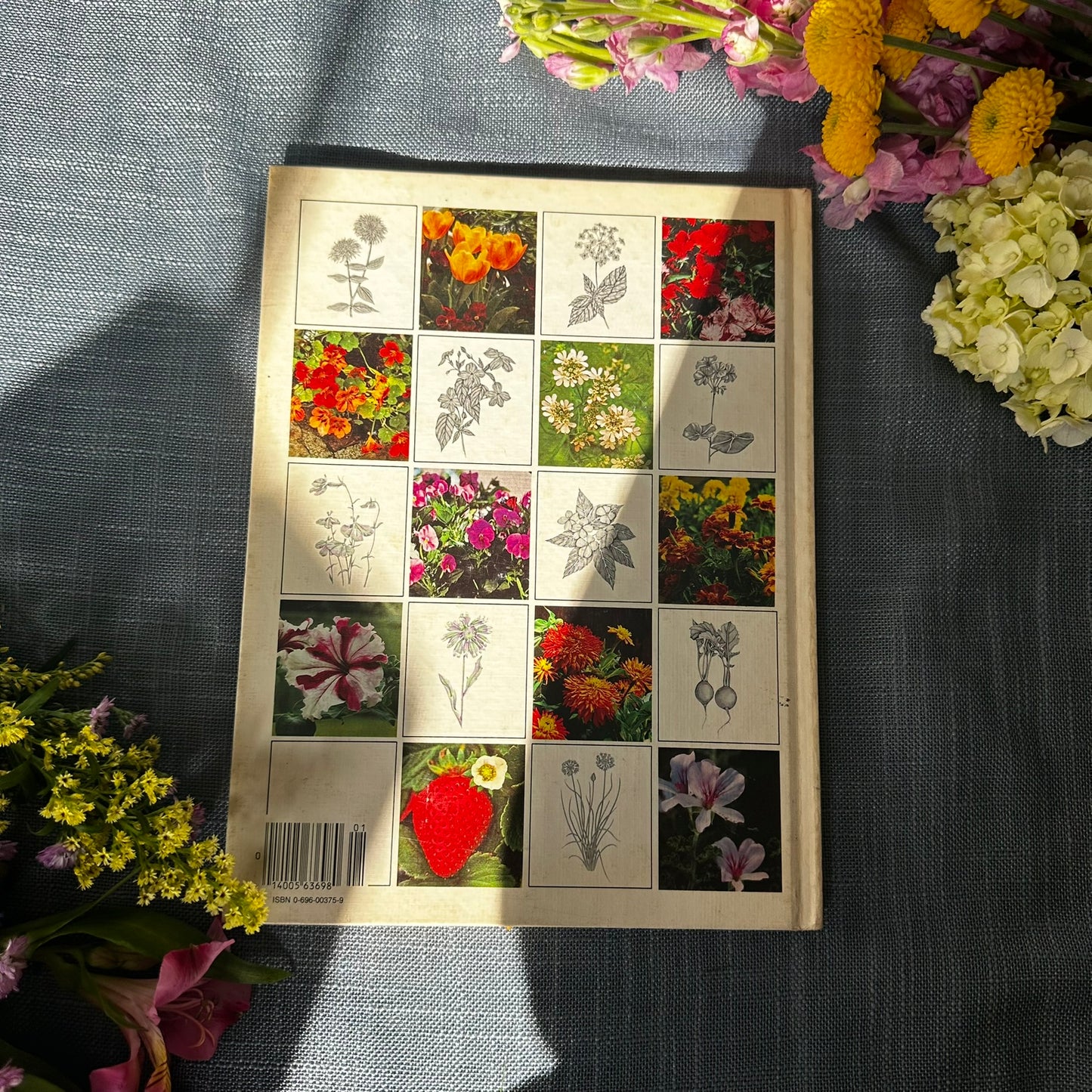 Better Homes and Gardens: Container Plants (1978 First Edition Hardcover)