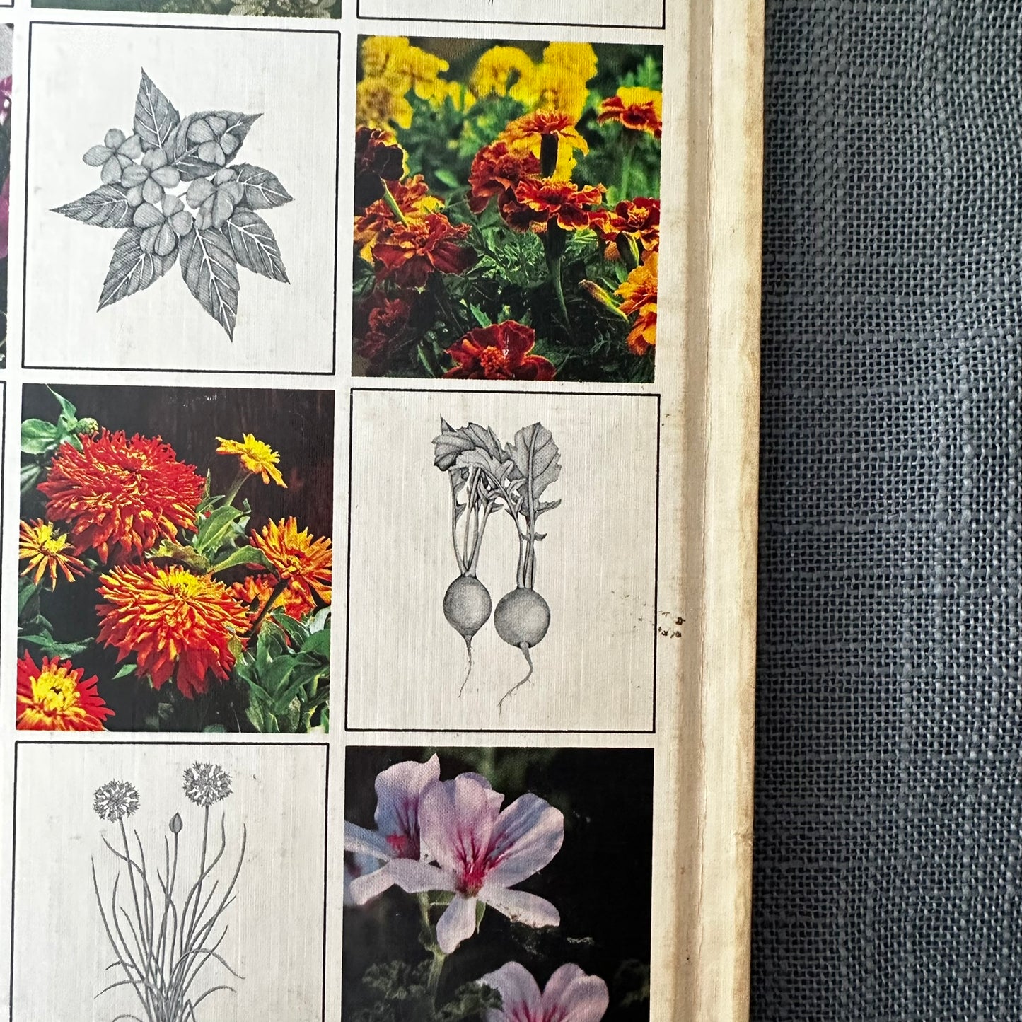 Better Homes and Gardens: Container Plants (1978 First Edition Hardcover)