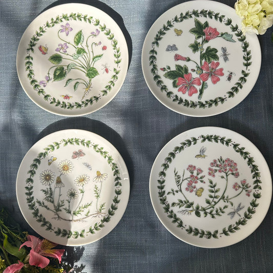 Set of 4 Takahashi San Francisco Botanical Plates | Wildflower Insect Series