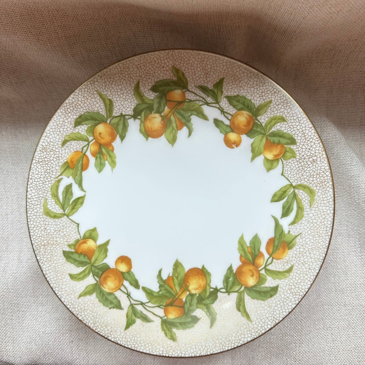 Set of 4 Limoges France Orange Grove Plates – Antique T.V. Limoges Porcelain